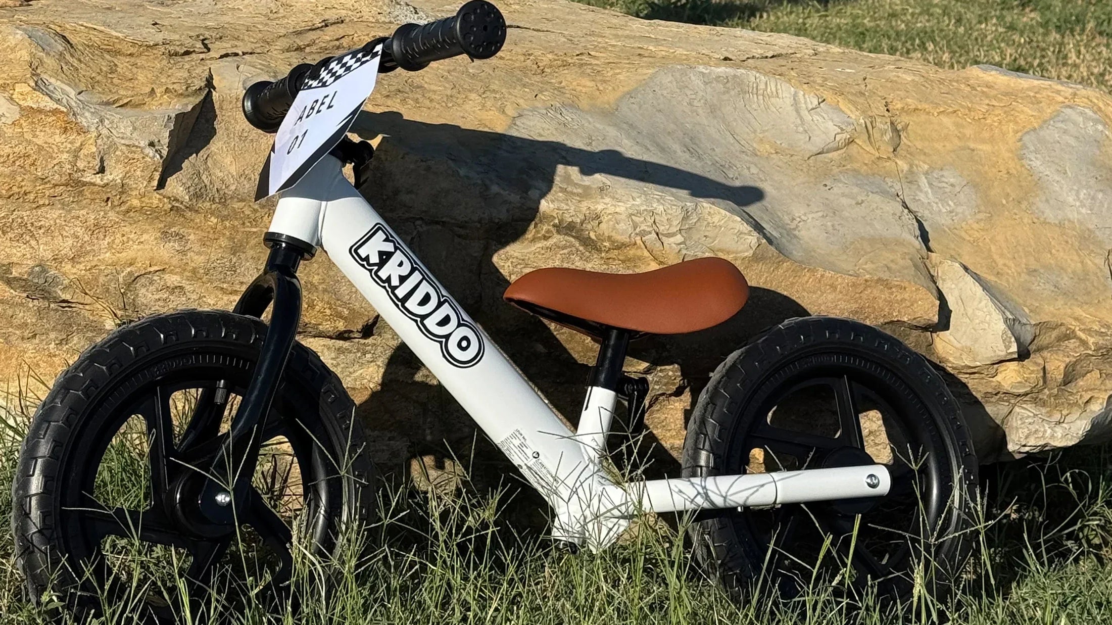 Top 5 Ride On for Kids Gift Ideas for This Holiday Season