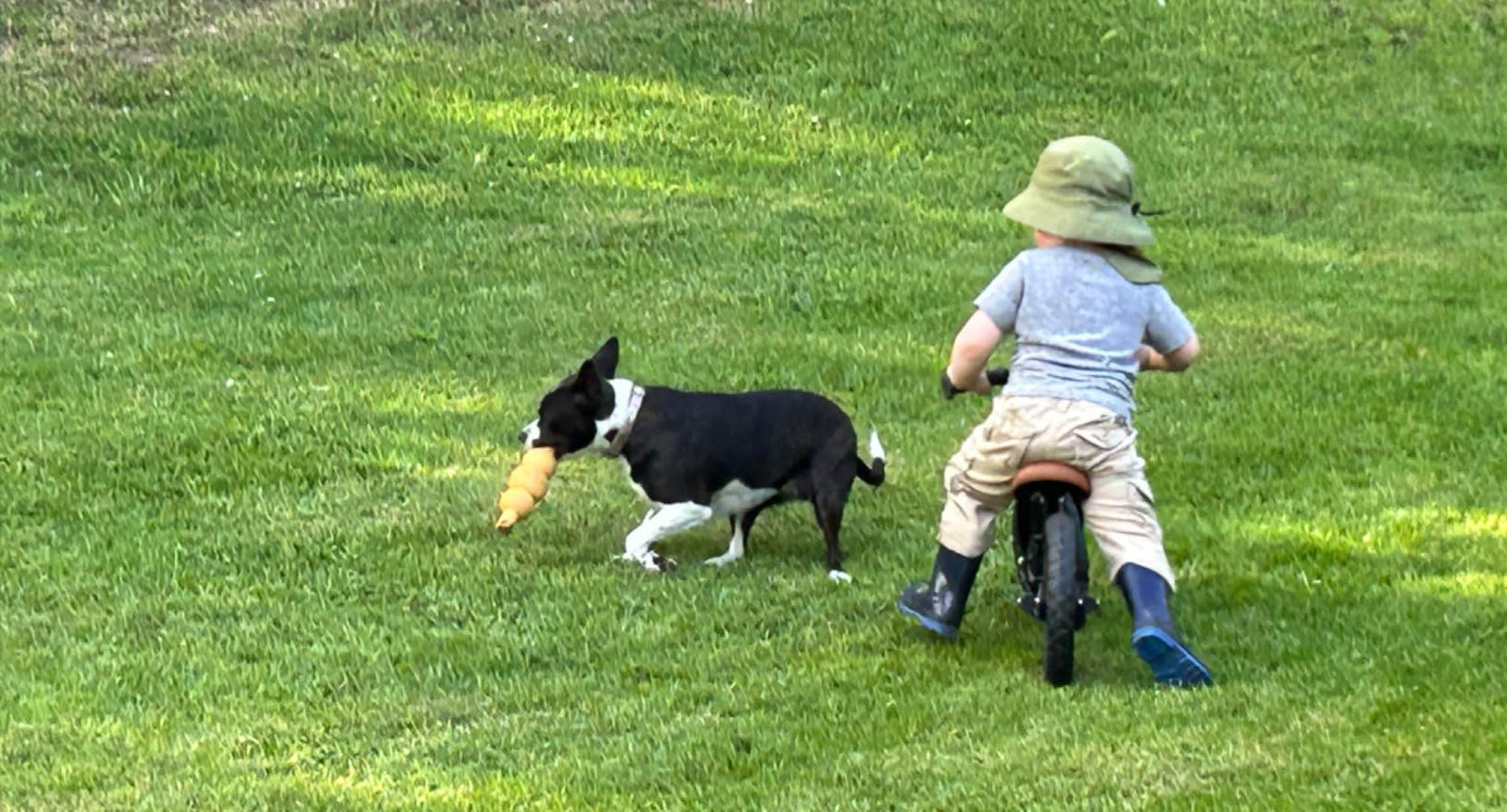 Why Your Child Might Be Hesitant on Their Balance Bike (And How to Help Them Glide with Confidence)
