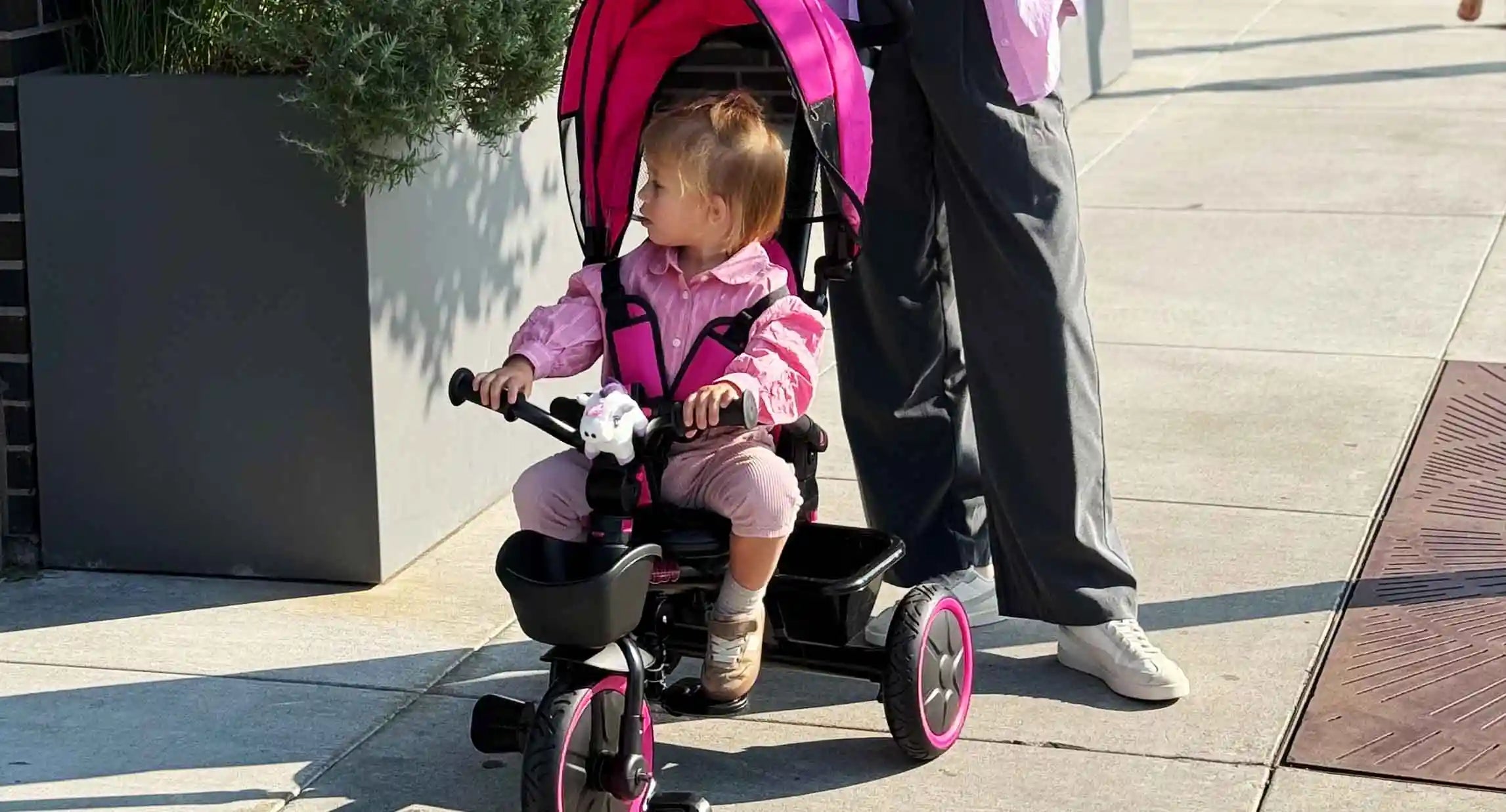 2025 Best Budget Toddler Bike