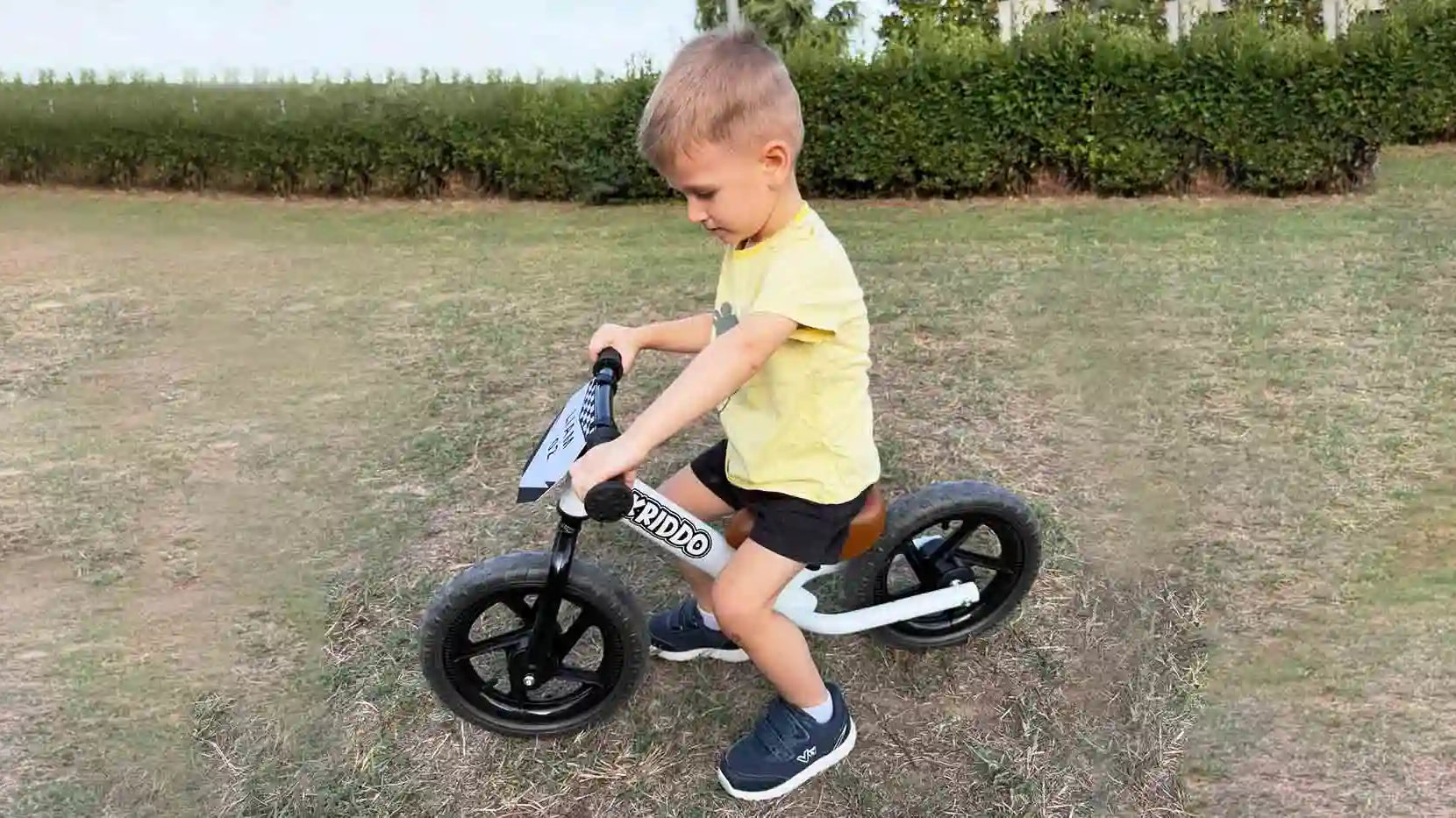 EVA Foam or Air Tires? The Balance Bike Dilemma