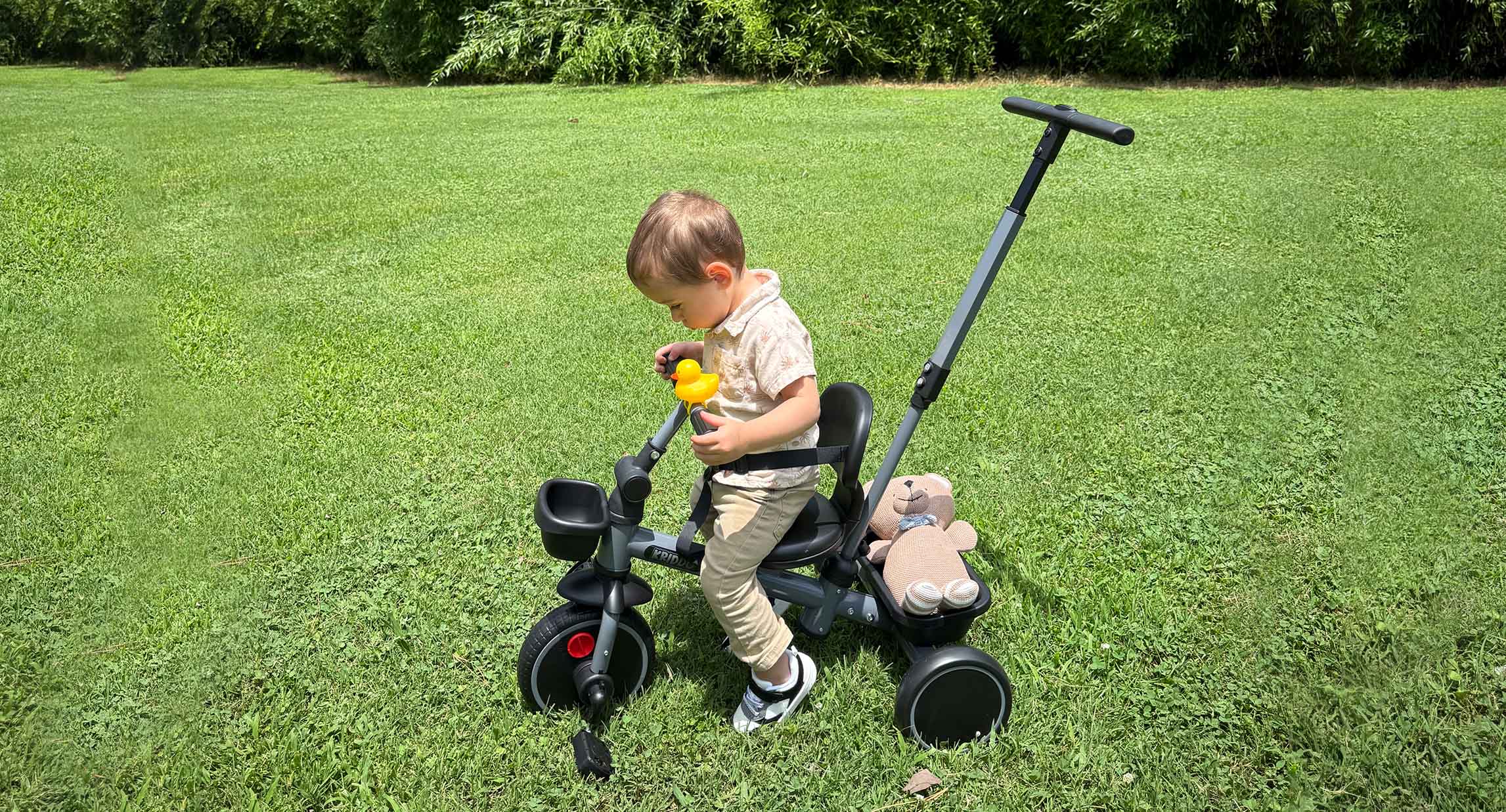 Toddler Schedule: A Daily Routine That Brings Calm to Busy Days