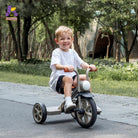 KRIDDO Kids Tricycle with Headlight and Pedals for 2 to 5 Years Old Grey