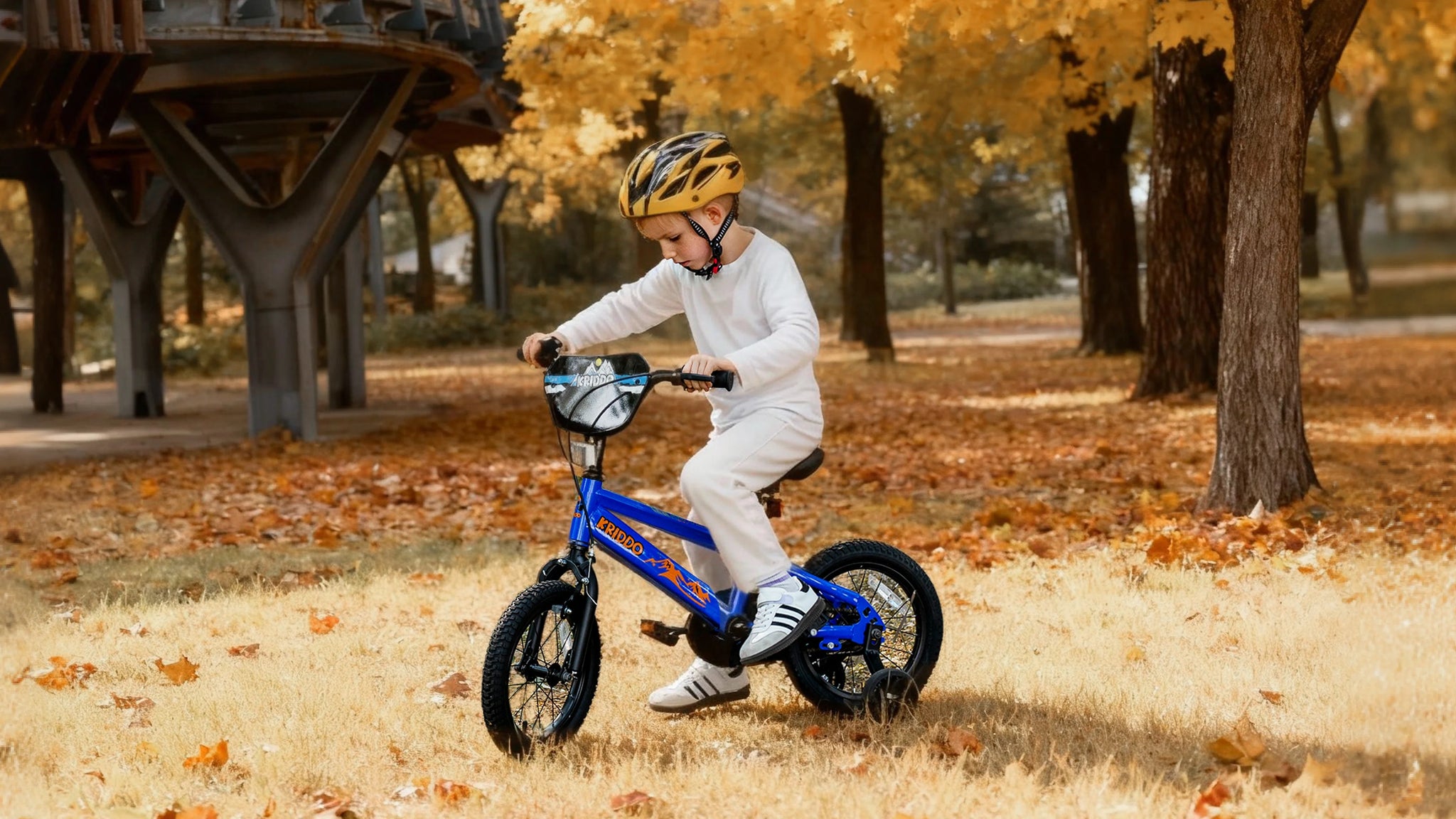 What Sports Do Kids Play in the Fall? 5 Fun Ways to Stay Happy