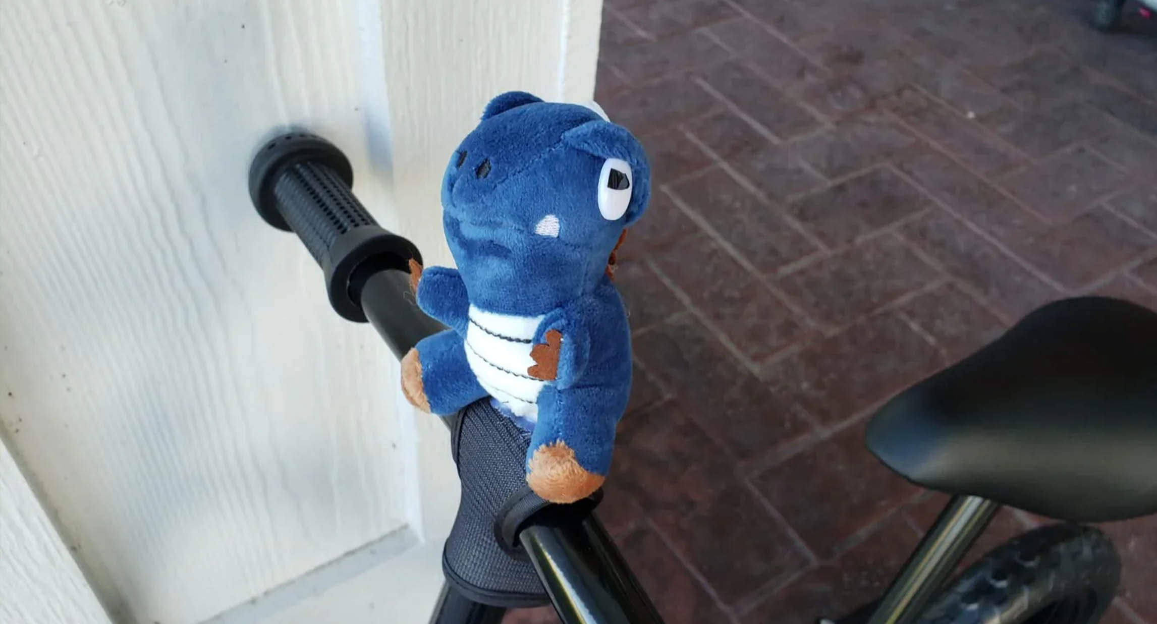 Do kids actually use balance bikes?