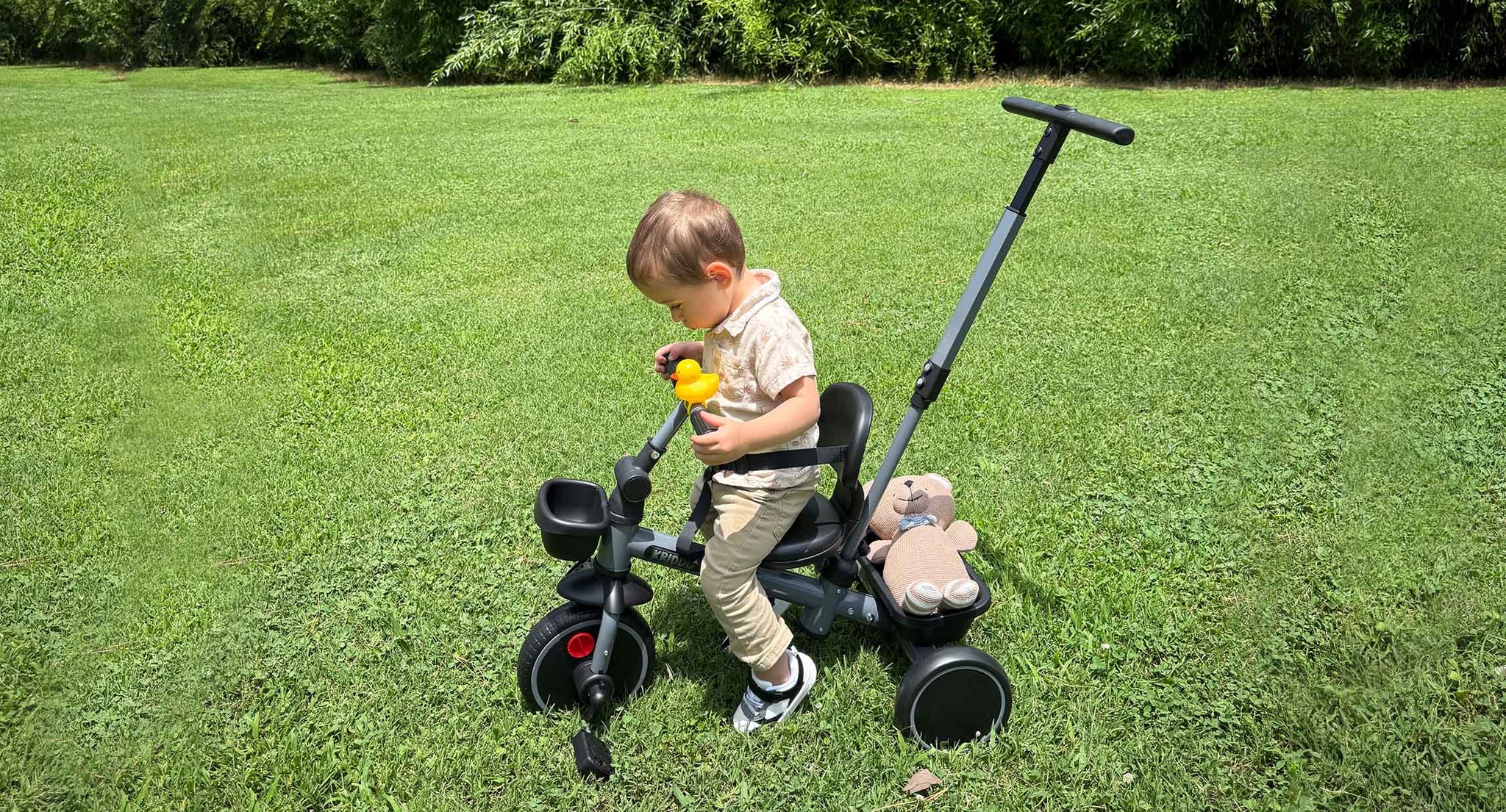 Toddler Schedule: A Daily Routine That Brings Calm to Busy Days