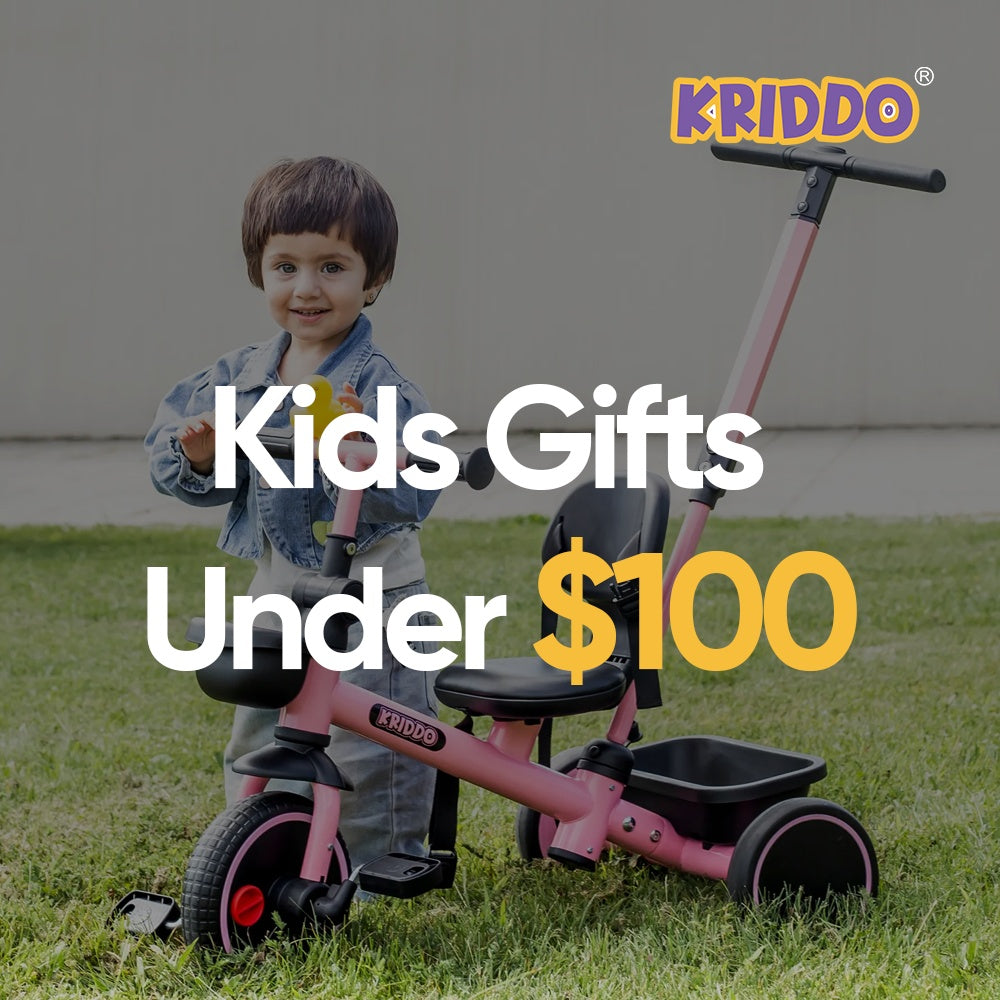KRIDDO Kids Gifts Under $100