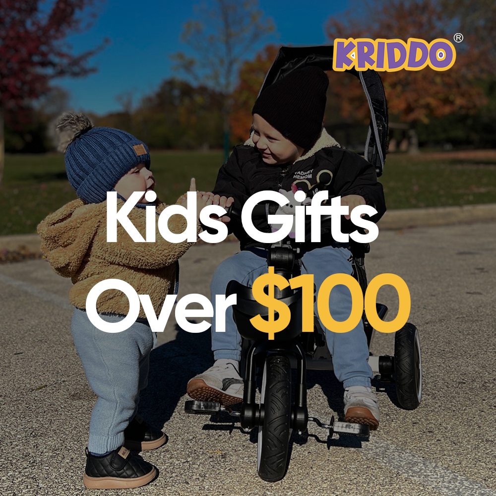 KRIDDO Kids Gifts Over $100