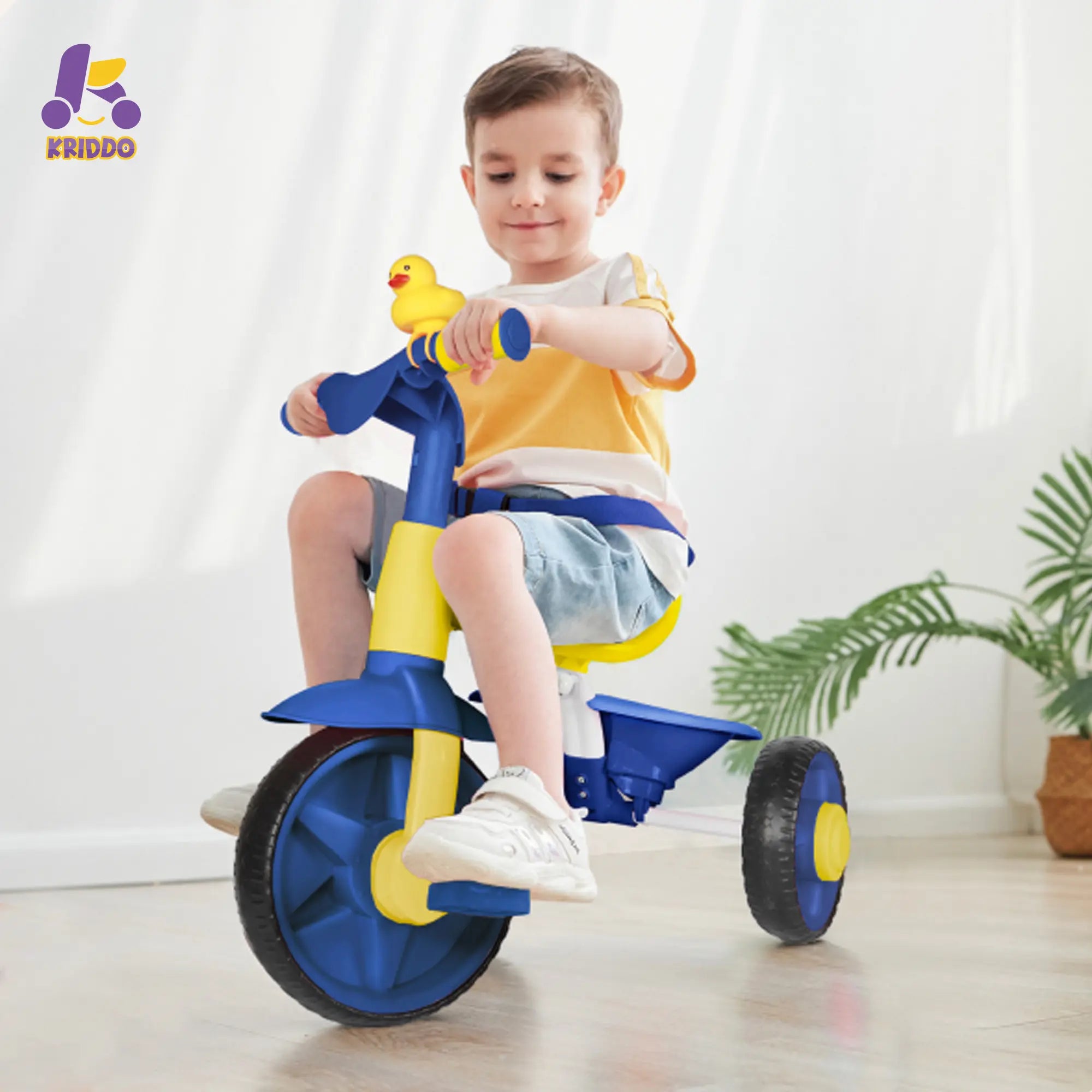 KRIDDO 2-in-1 Kids Push Trike for 18 months to 3 Years Old Blue