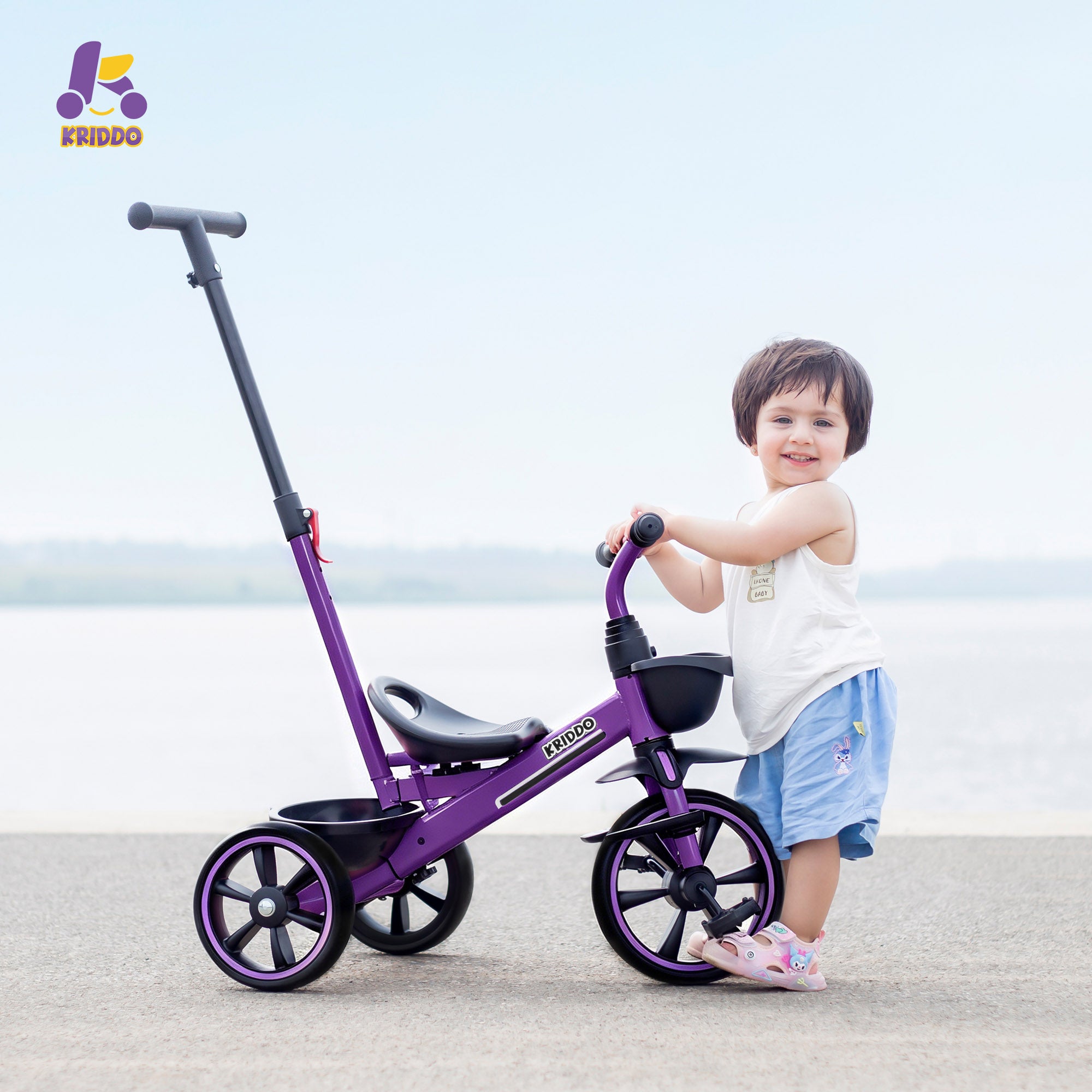 Little girl with a purple push tricycle on a beach 