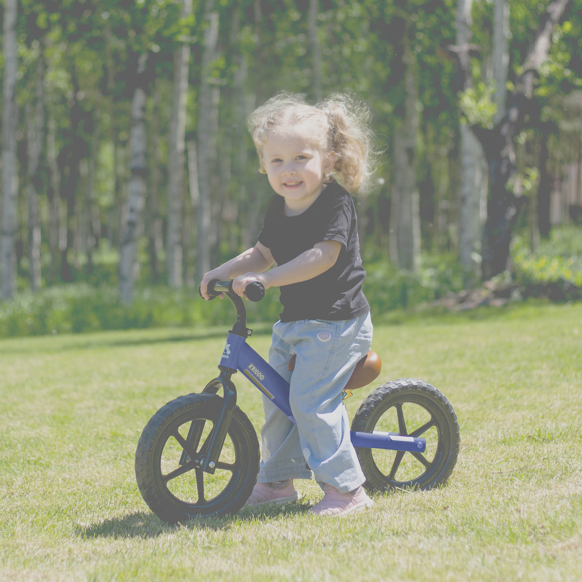 KRIDDO Toddler Balance Bike With Dual Bearing Wheels For 2 to 5 Years Old Green