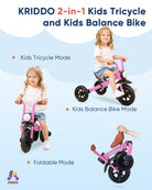 Kriddo Kids Foldable Tricycle with Headlight for 2 to 5 Years Old Pink