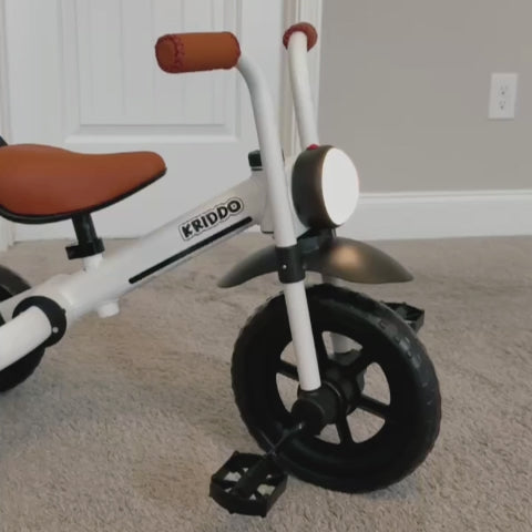 Buzz Rider Tricycle 2-in-1