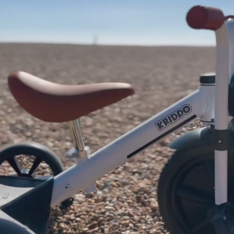 Buzz Rider Tricycle