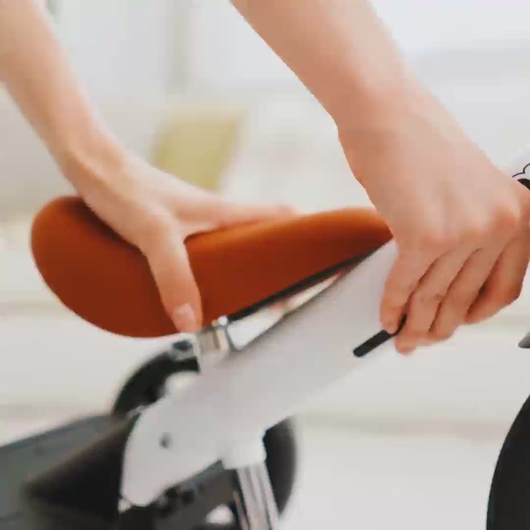 Buzz Rider Tricycle